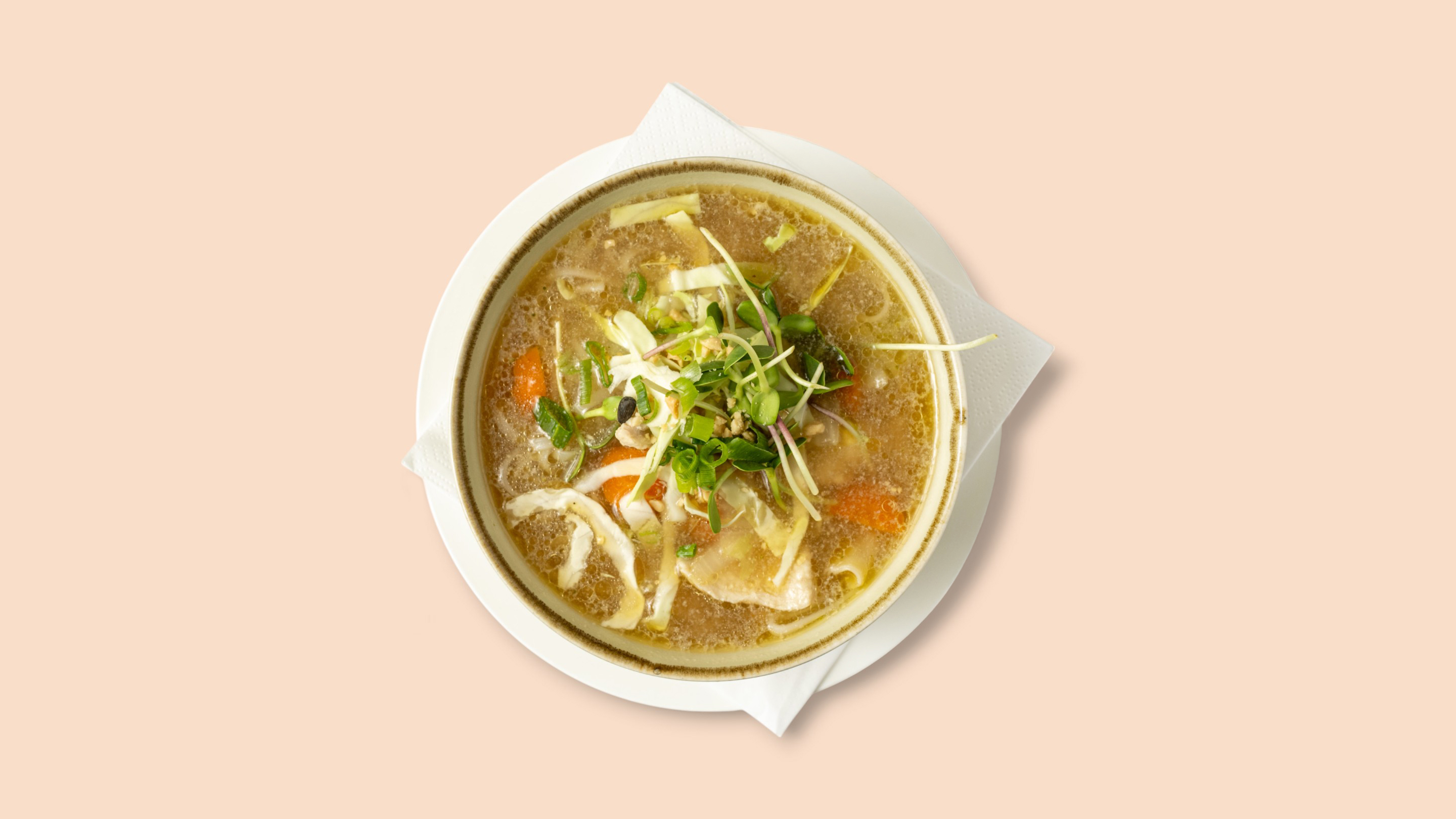 Thailändische Nudelsuppe mit Wan Tan